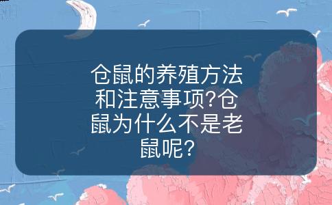 仓鼠的养殖方法和注意事项?仓鼠为什么不是老鼠呢?