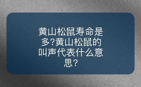 黄山松鼠寿命是多?黄山松鼠的叫声代表什么意思?