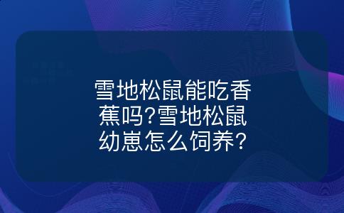 雪地松鼠能吃香蕉吗?雪地松鼠幼崽怎么饲养?