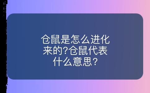 仓鼠是怎么进化来的?仓鼠代表什么意思?