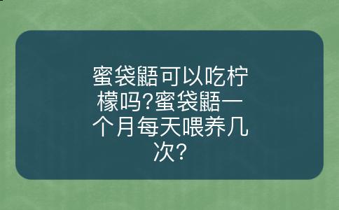 蜜袋鼯可以吃柠檬吗?蜜袋鼯一个月每天喂养几次?
