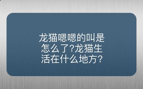 龙猫嗯嗯的叫是怎么了?龙猫生活在什么地方?
