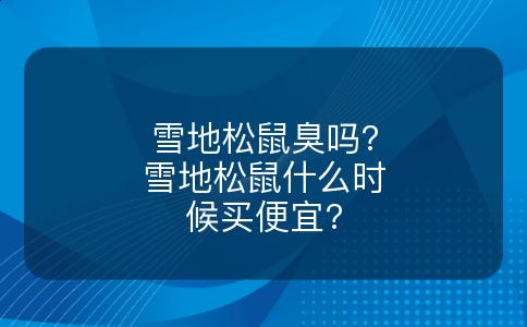雪地松鼠臭吗?雪地松鼠什么时候买便宜?