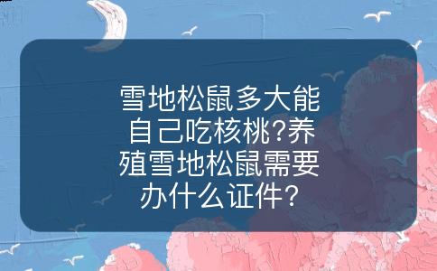 雪地松鼠多大能自己吃核桃?养殖雪地松鼠需要办什么证件?