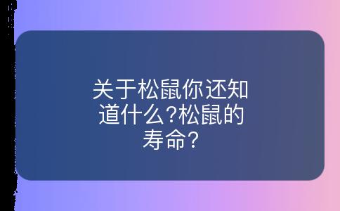 关于松鼠你还知道什么?松鼠的寿命?