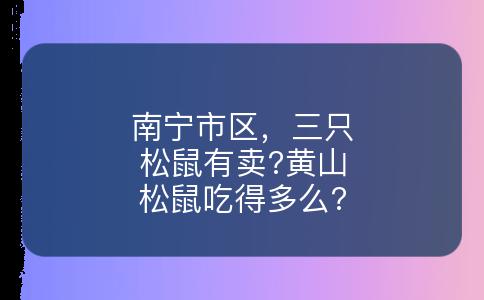 南宁市区，三只松鼠有卖?黄山松鼠吃得多么?