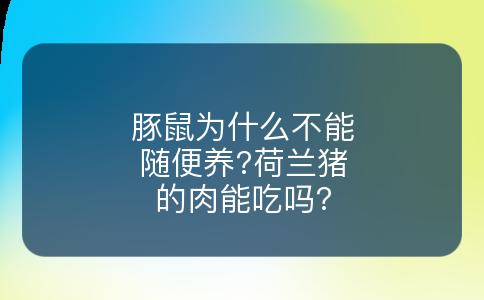 豚鼠为什么不能随便养?荷兰猪的肉能吃吗?