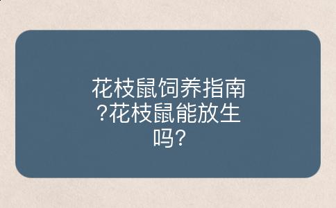 花枝鼠饲养指南?花枝鼠能放生吗?
