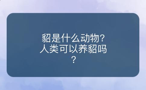 貂是什么动物?人类可以养貂吗?