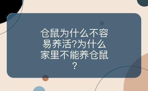 仓鼠为什么不容易养活?为什么家里不能养仓鼠?