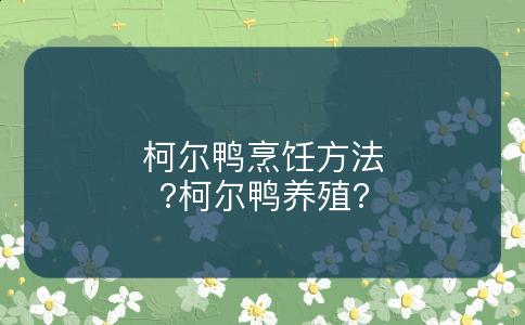 柯尔鸭烹饪方法?柯尔鸭养殖?