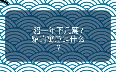 貂一年下几窝?貂的寓意是什么?