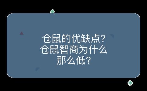 仓鼠的优缺点?仓鼠智商为什么那么低?
