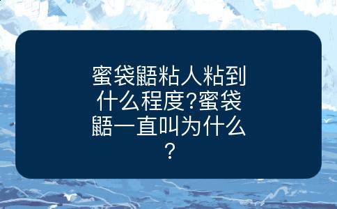 蜜袋鼯粘人粘到什么程度?蜜袋鼯一直叫为什么?