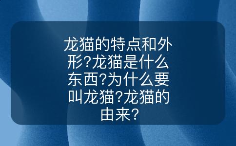 龙猫的特点和外形?龙猫是什么东西?为什么要叫龙猫?龙猫的由来?