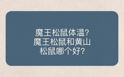 魔王松鼠体温?魔王松鼠和黄山松鼠哪个好?