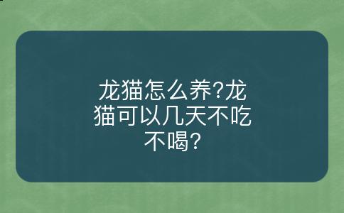 龙猫怎么养?龙猫可以几天不吃不喝?