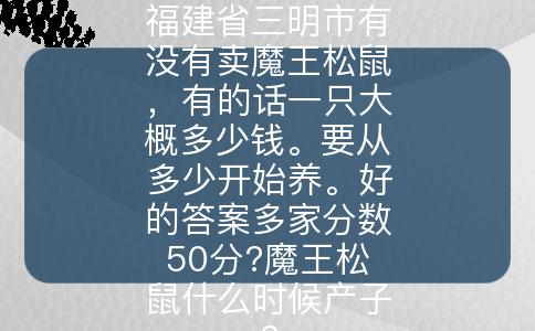 福建省三明市有没有卖魔王松鼠，有的话一只大概多少钱。要从多少开始养。好的答案多家分数50分?魔王松鼠什么时候产子?