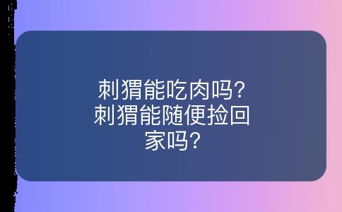 刺猬能吃肉吗?刺猬能随便捡回家吗?
