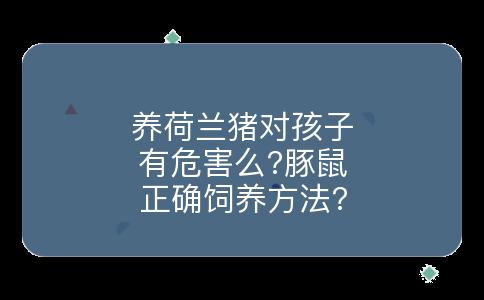 养荷兰猪对孩子有危害么?豚鼠正确饲养方法?