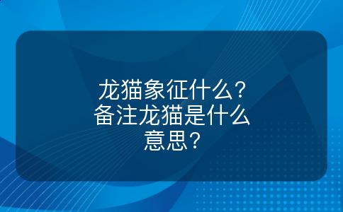 龙猫象征什么?备注龙猫是什么意思?