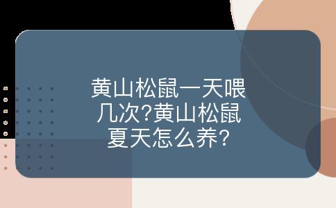 黄山松鼠一天喂几次?黄山松鼠夏天怎么养?