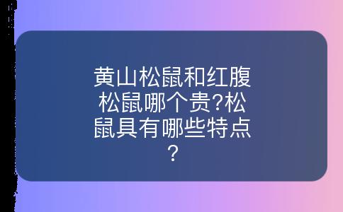 黄山松鼠和红腹松鼠哪个贵?松鼠具有哪些特点?