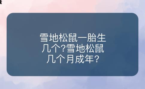 雪地松鼠一胎生几个?雪地松鼠几个月成年?