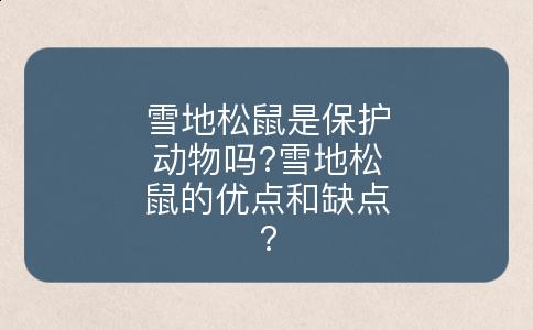 雪地松鼠是保护动物吗?雪地松鼠的优点和缺点?