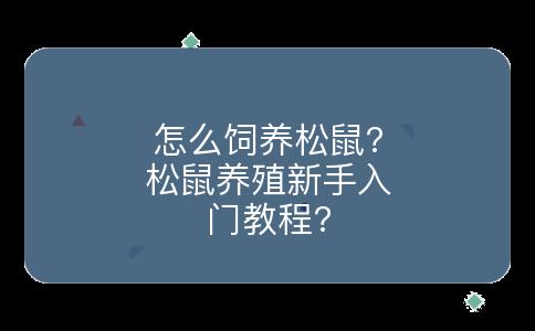 怎么饲养松鼠?松鼠养殖新手入门教程?