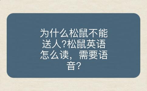 为什么松鼠不能送人?松鼠英语怎么读，需要语音?