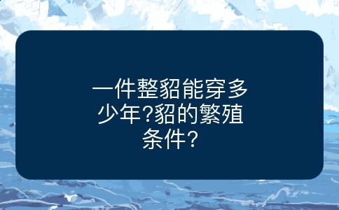 一件整貂能穿多少年?貂的繁殖条件?