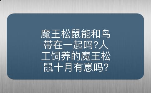 魔王松鼠能和鸟带在一起吗?人工饲养的魔王松鼠十月有崽吗?