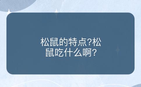 松鼠的特点?松鼠吃什么啊?