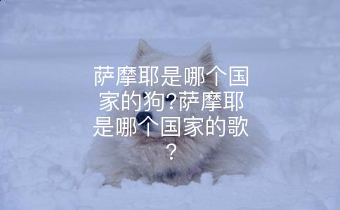 萨摩耶是哪个国家的狗?萨摩耶是哪个国家的歌?