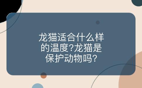 龙猫适合什么样的温度?龙猫是保护动物吗?
