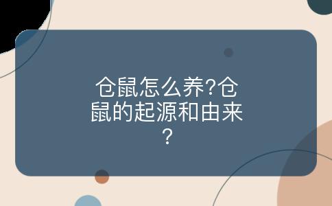 仓鼠怎么养?仓鼠的起源和由来?