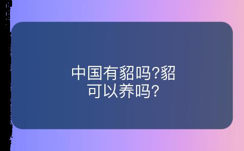 中国有貂吗?貂可以养吗?