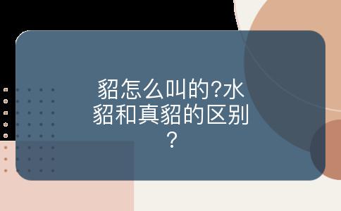 貂怎么叫的?水貂和真貂的区别?