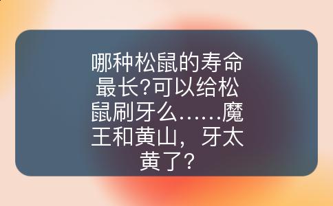 哪种松鼠的寿命最长?可以给松鼠刷牙么……魔王和黄山，牙太黄了?