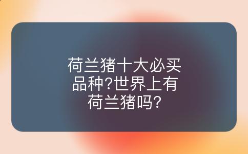 荷兰猪十大必买品种?世界上有荷兰猪吗?