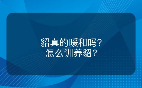 貂真的暖和吗?怎么训养貂?