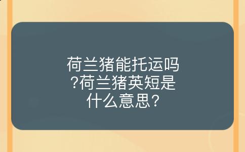 荷兰猪能托运吗?荷兰猪英短是什么意思?