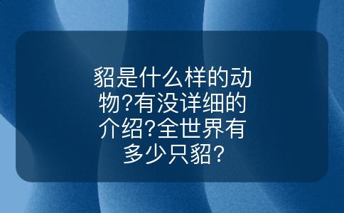 貂是什么样的动物?有没详细的介绍?全世界有多少只貂?