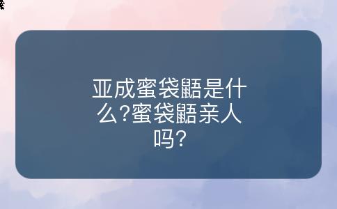 亚成蜜袋鼯是什么?蜜袋鼯亲人吗?