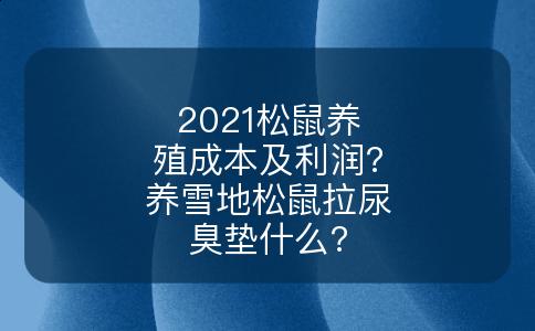 2021松鼠养殖成本及利润?养雪地松鼠拉尿臭垫什么?