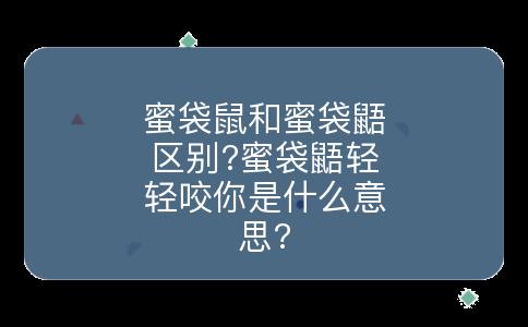 蜜袋鼠和蜜袋鼯区别?蜜袋鼯轻轻咬你是什么意思?