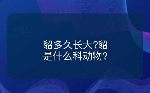 貂多久长大?貂是什么科动物?