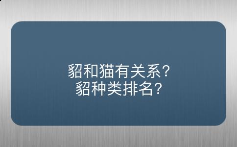 貂和猫有关系?貂种类排名?