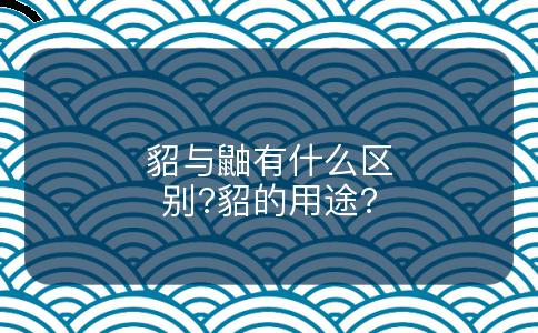 貂与鼬有什么区别?貂的用途?